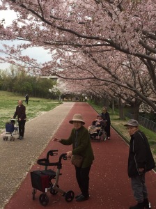 サービス付き高齢者向け住宅 サニーサイドホームすずのお花見会