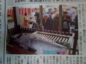神戸新聞で掲載された記事。明石、岩屋神社のえべっさんで奉納されたまぐろ。