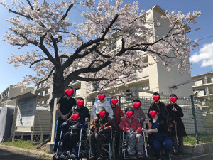 ひだまりデイサービスすずの桜