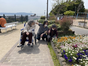 ひだまりデイサービスすずからほど近くにある東垂水展望公園に咲く花